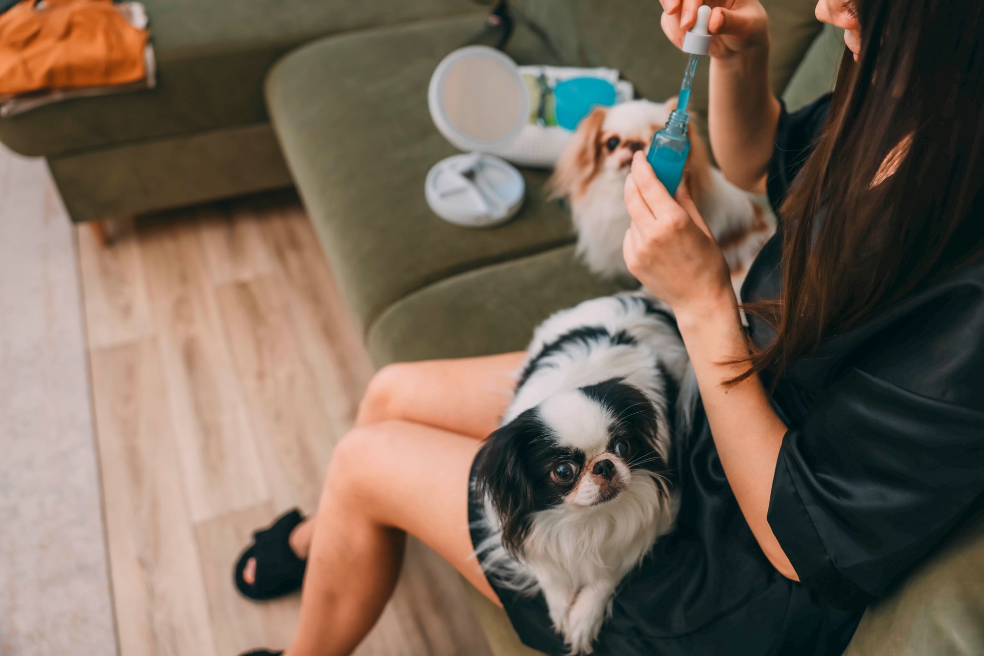 close-up of hands and serum, cozy home setting concept of daily beauty routines, pet companionship, wellness