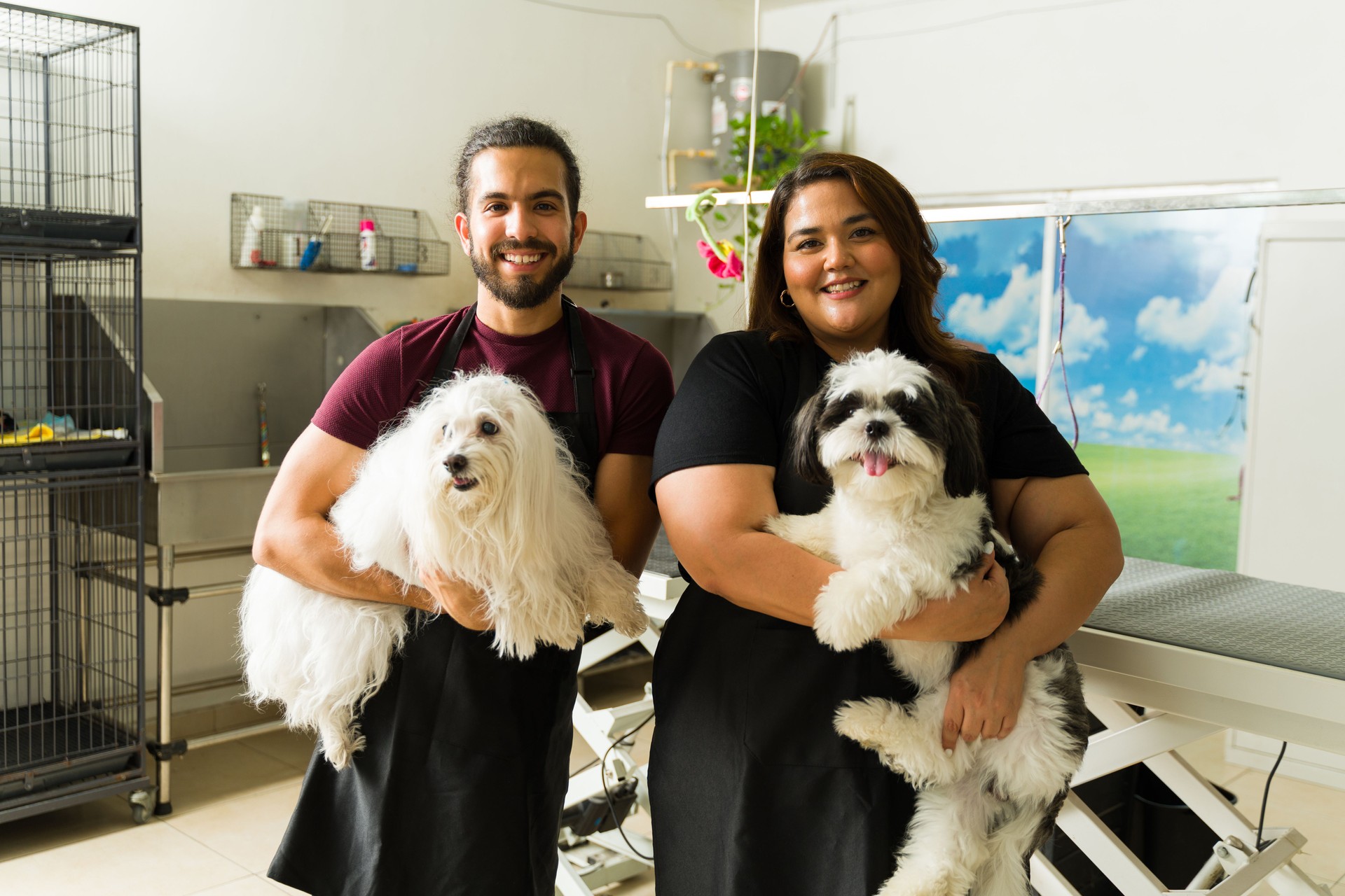 Cheerful pet groomers giving a haircut to small beautiful dogs
